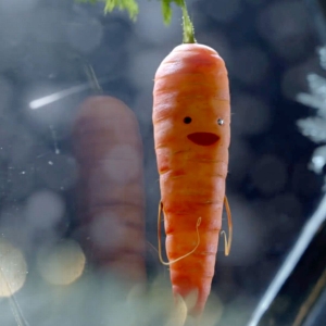 Kevin the Carrot